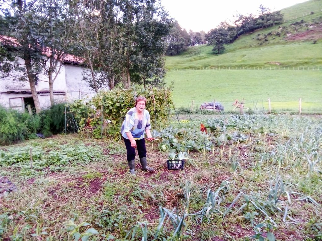 Aupa Zuek! De la huerta a la ikastola: una lección de vida cotidiana